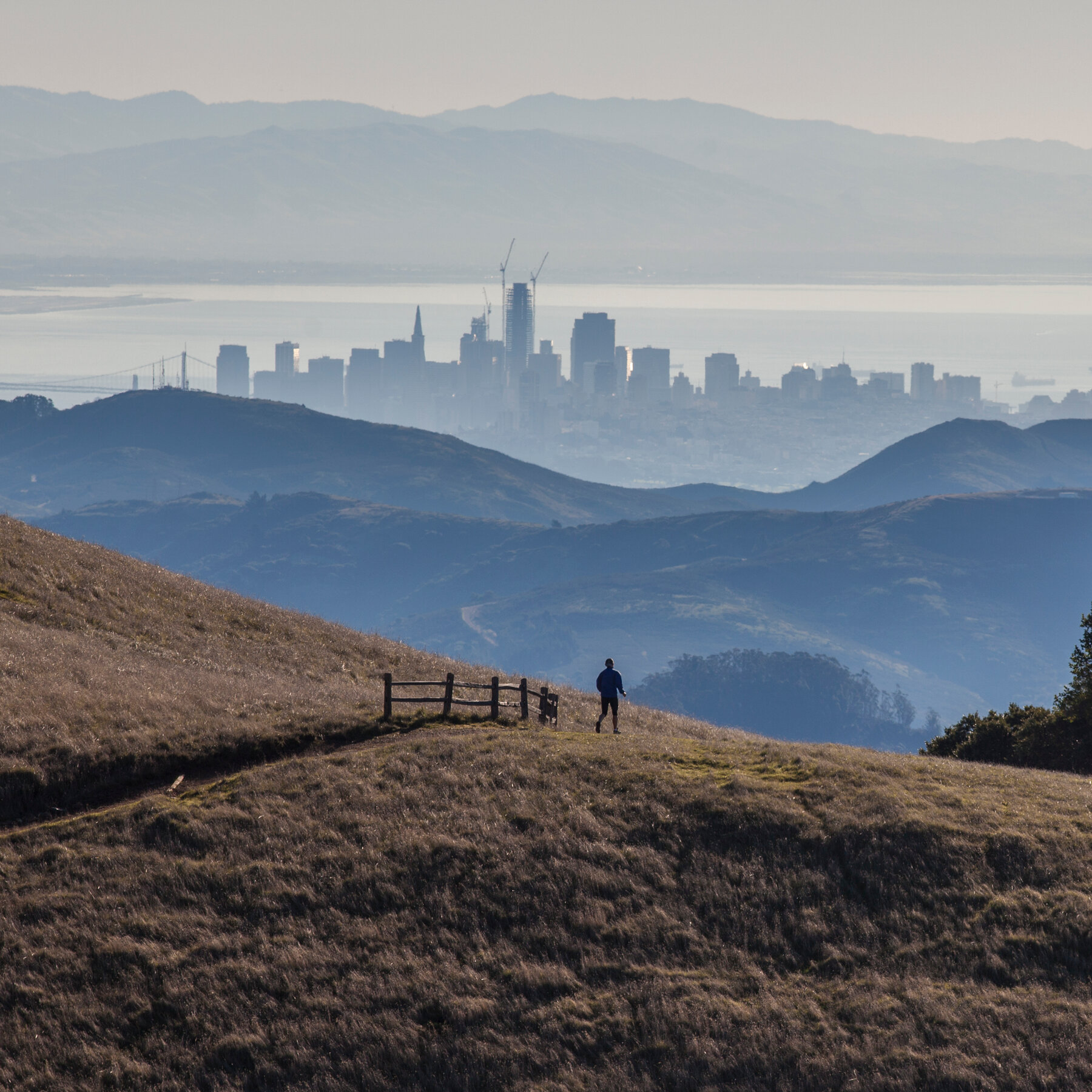 readers-share-why-they-love-dwelling-within-the-golden-state